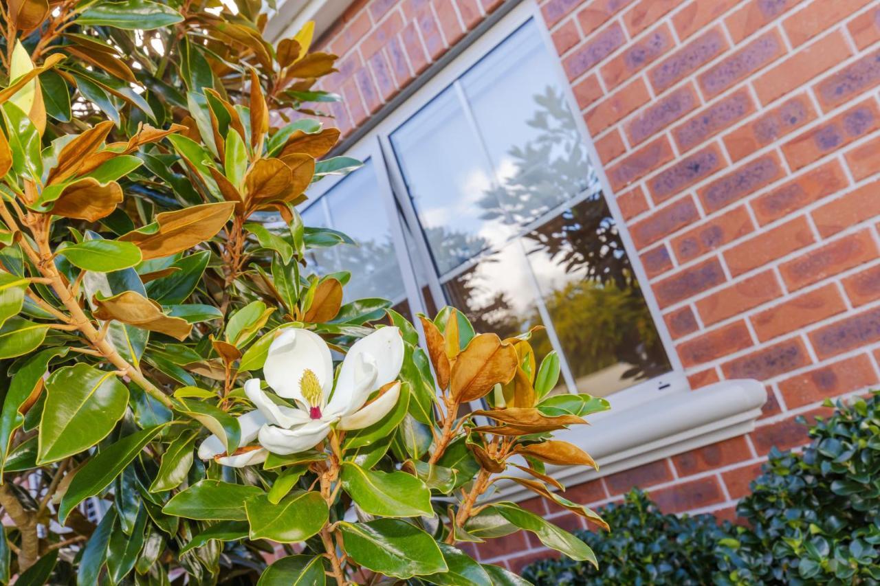 Sweet Magnolia 1 Or 2 Bedroom Suite St Kilda Cambridge With Complimentary Continental Breakfast Экстерьер фото